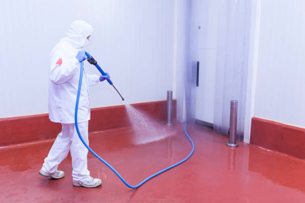 Professional Pressure Washing Services in Lake Placid, FL
